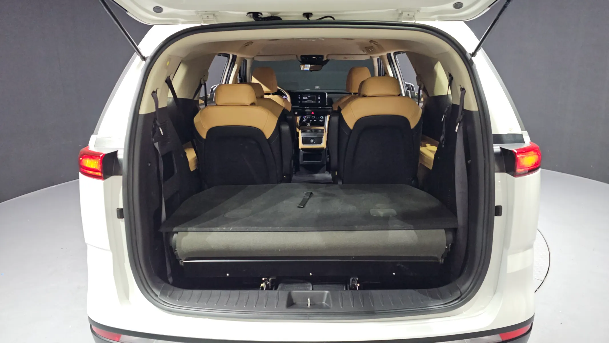 Kia Carnival (LPG) 2022 20/21