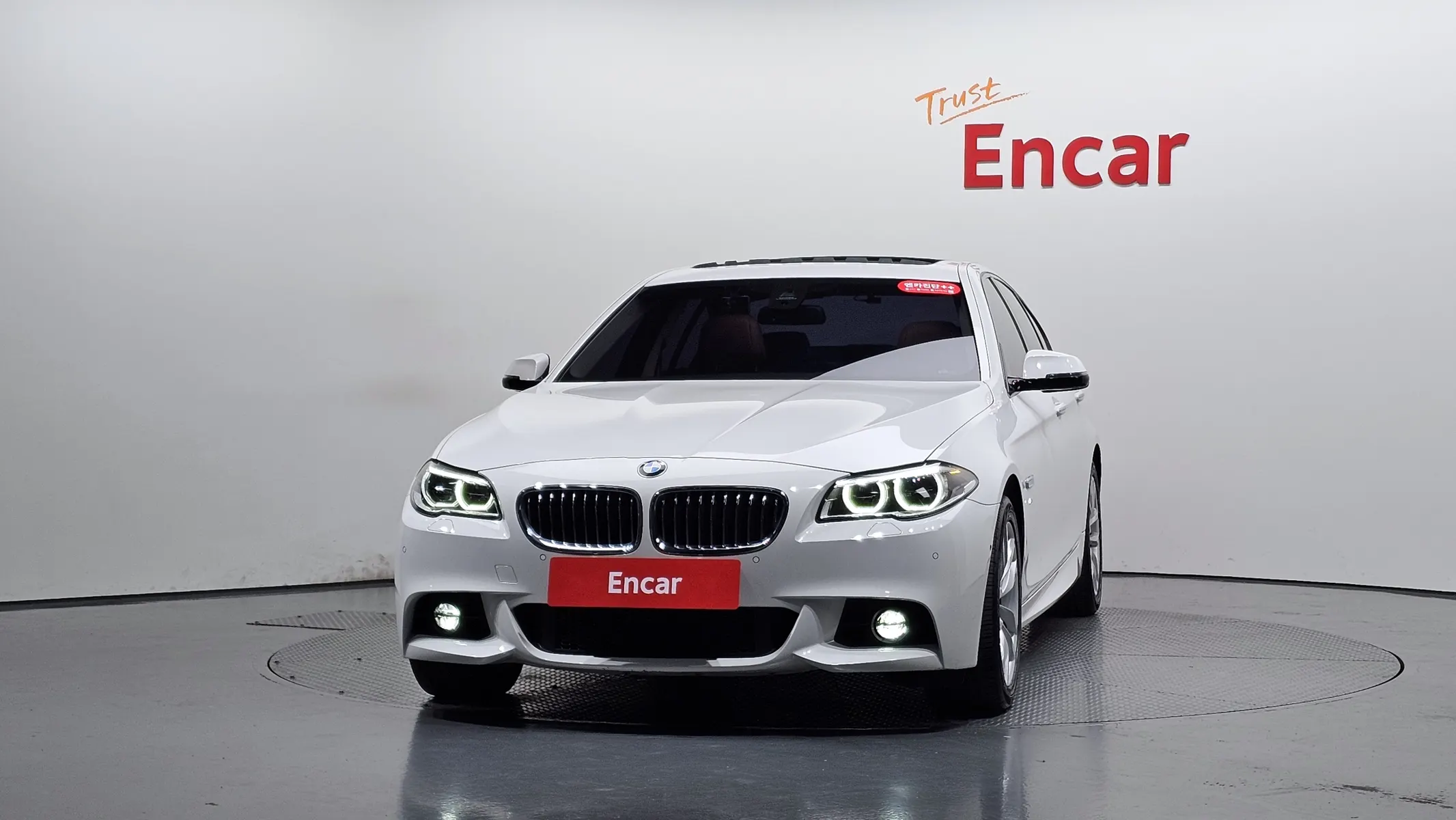 BMW 5 Series (F10) 520d M 2015 3/31