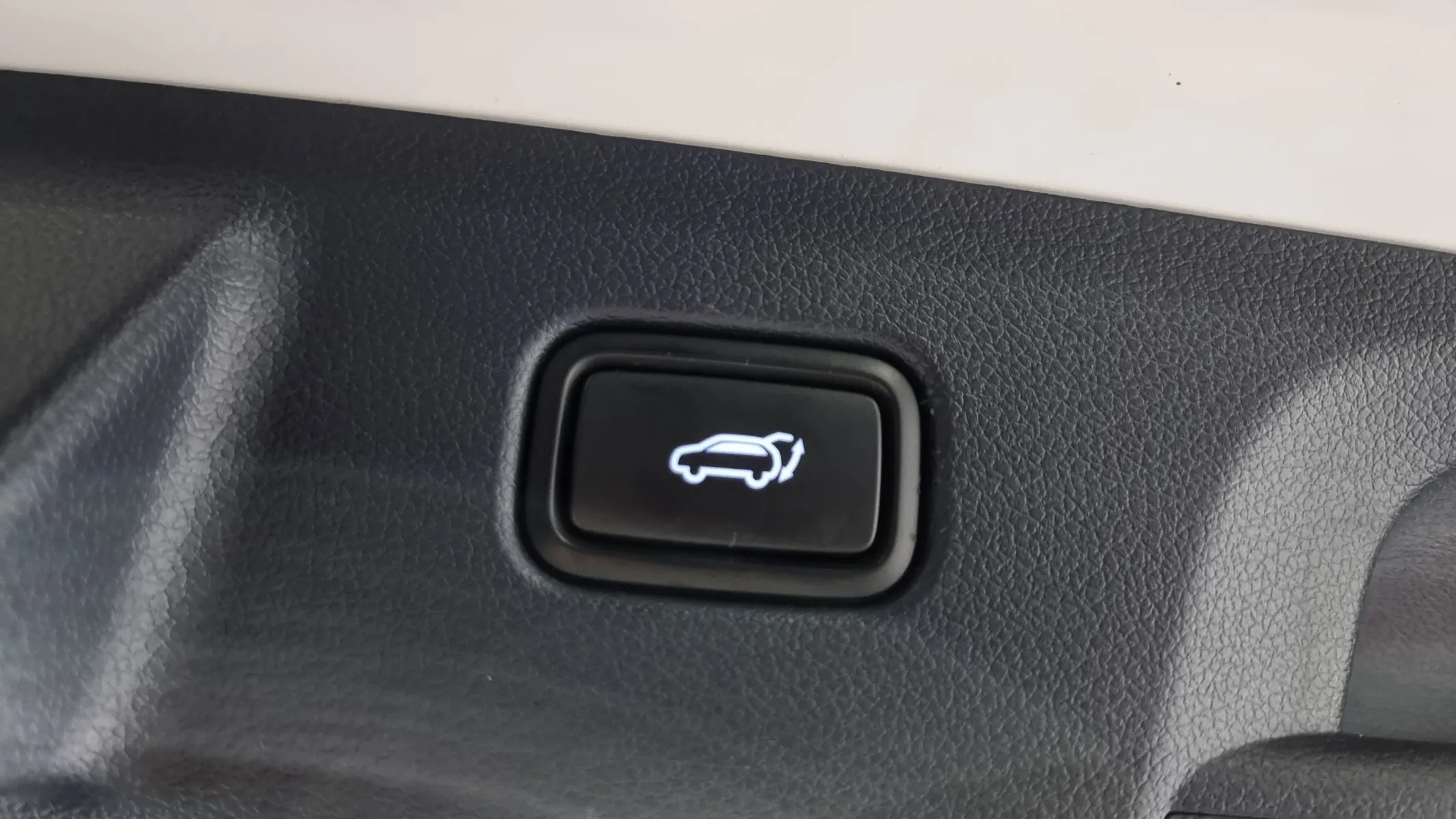 Hyundai Palisade 3.8 4WD 2020 20/21