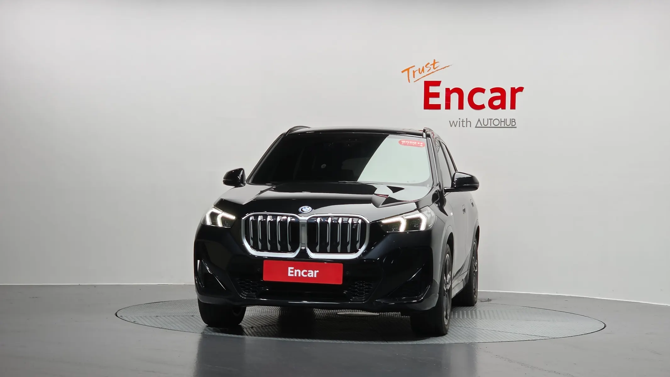 BMW iX1 (U11) xDrive 30 M 2023 2/38