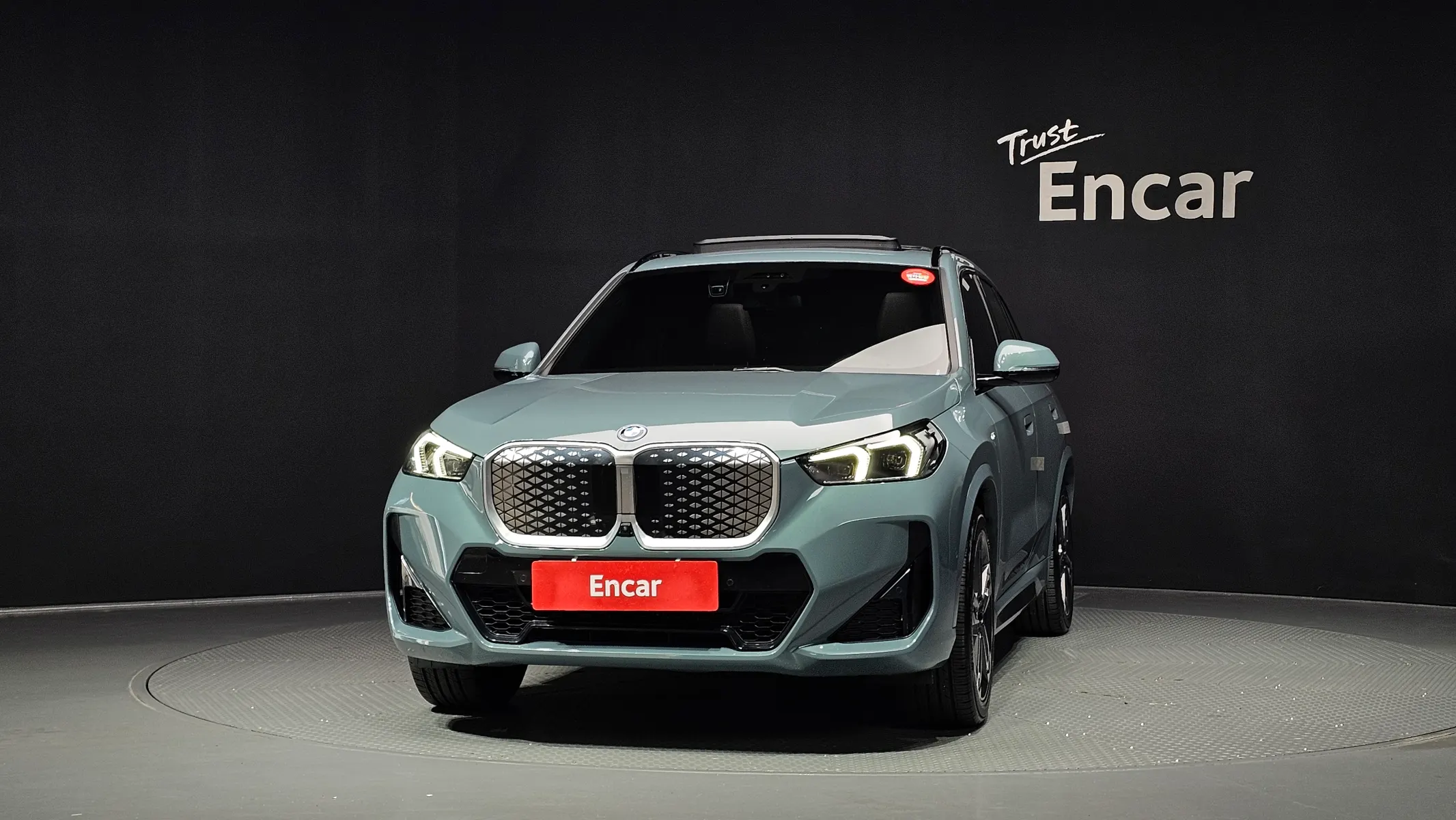 BMW iX1 (U11) xDrive 30 M 2024 3/38