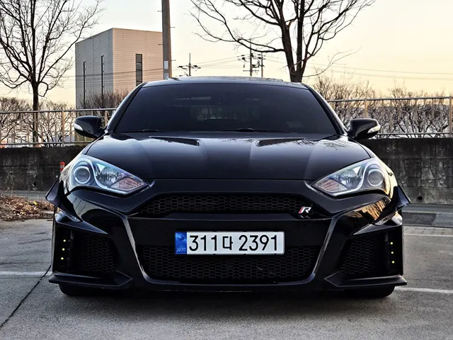 Hyundai Coupe 380 GT-P 2009 2/5