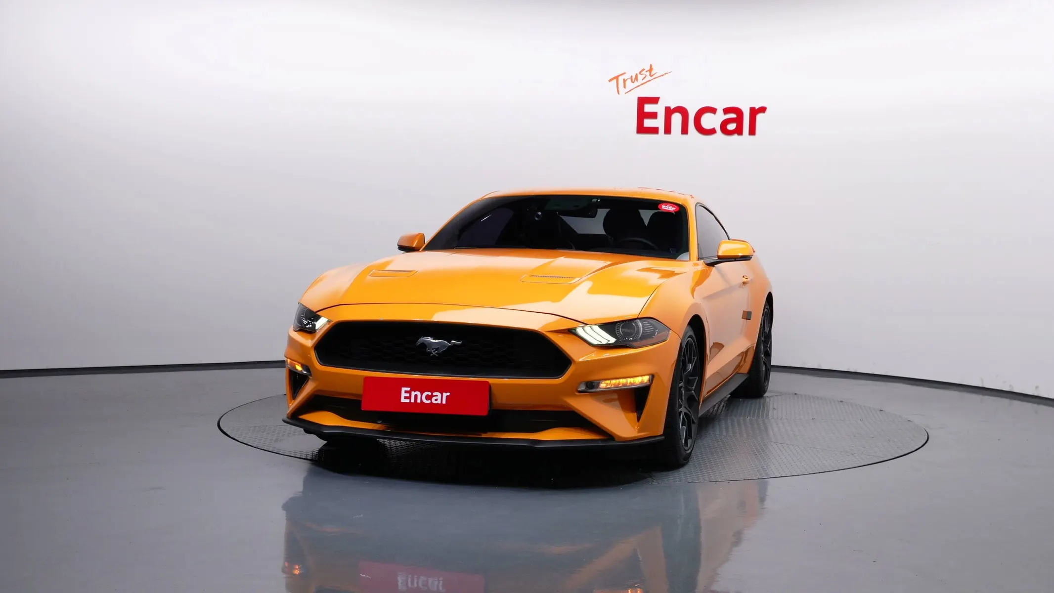 Ford 머스탱 2019 2/5