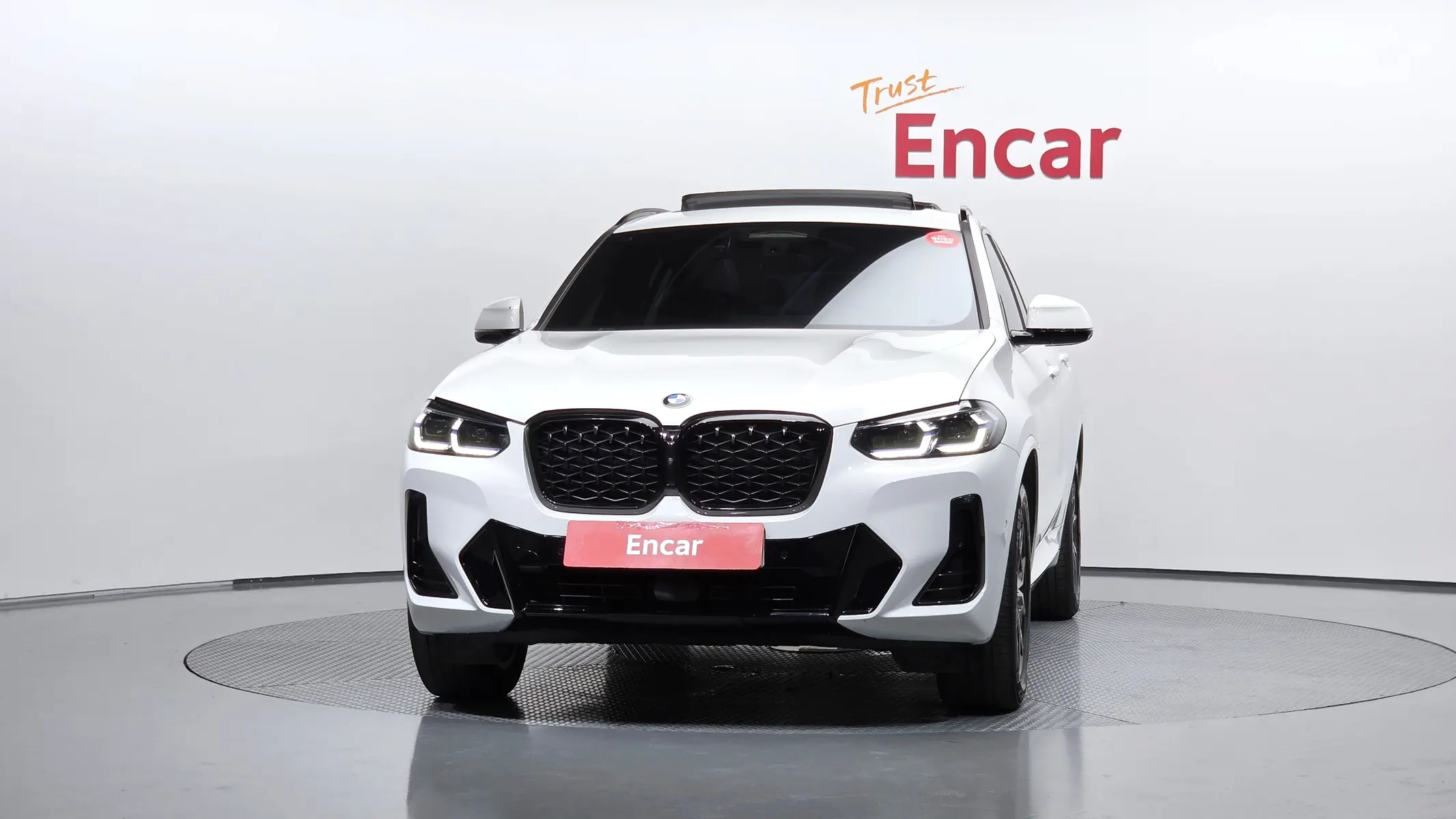 BMW X4 (G02) xDrive 20d M 2023 3/32