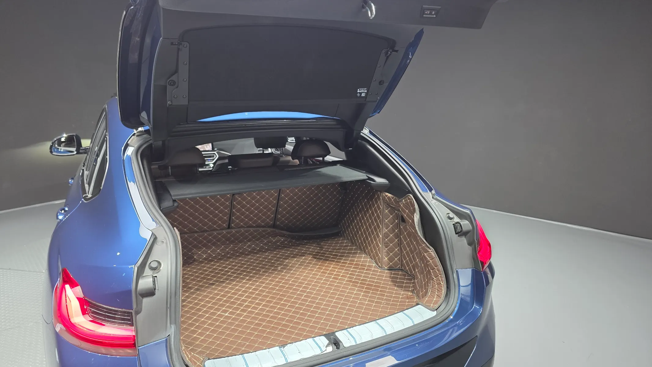 BMW X4 (G02) xDrive20i M 2023 31/32