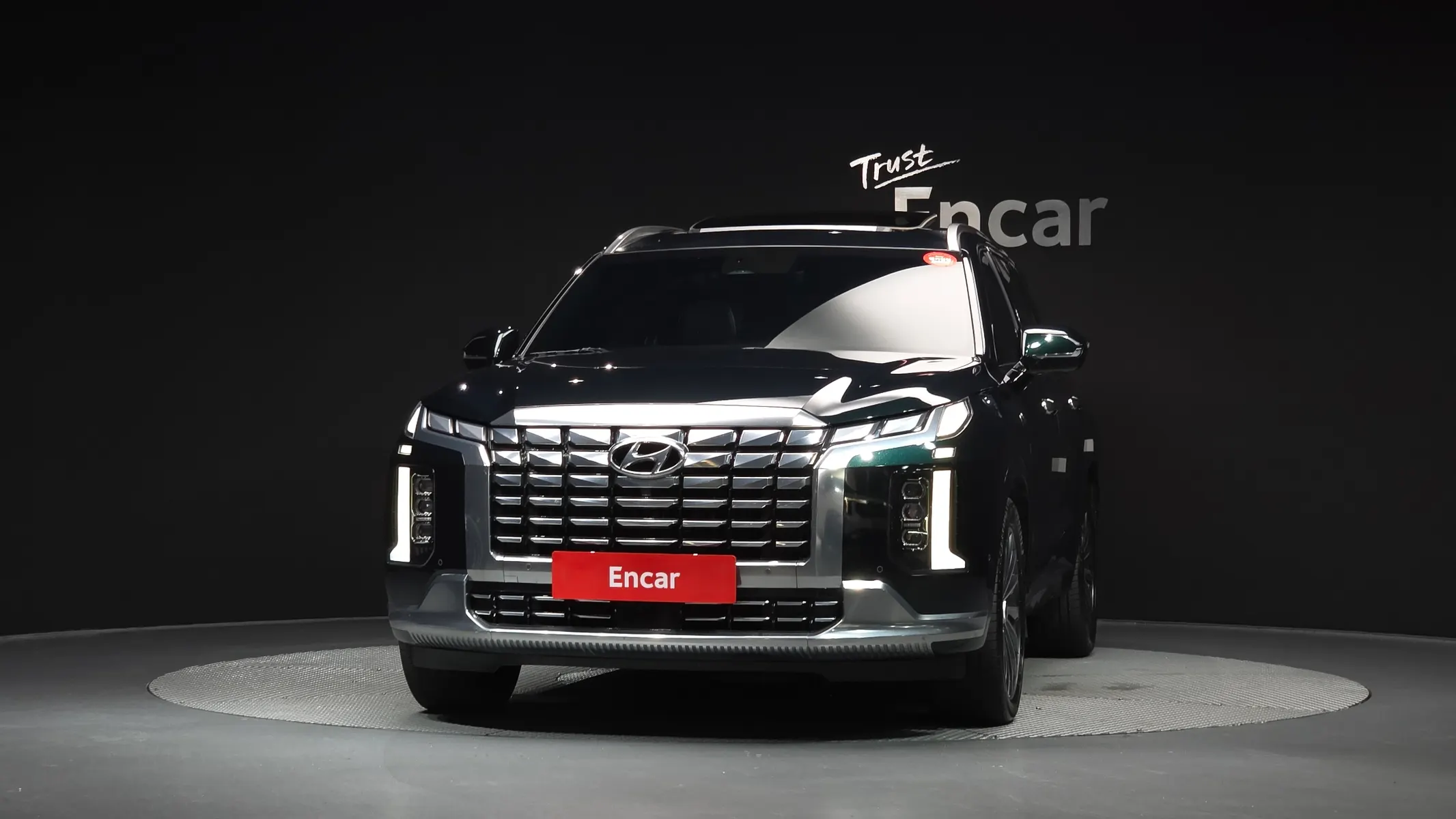 Hyundai 팰리세이드 3.8 4WD 2024 2/5