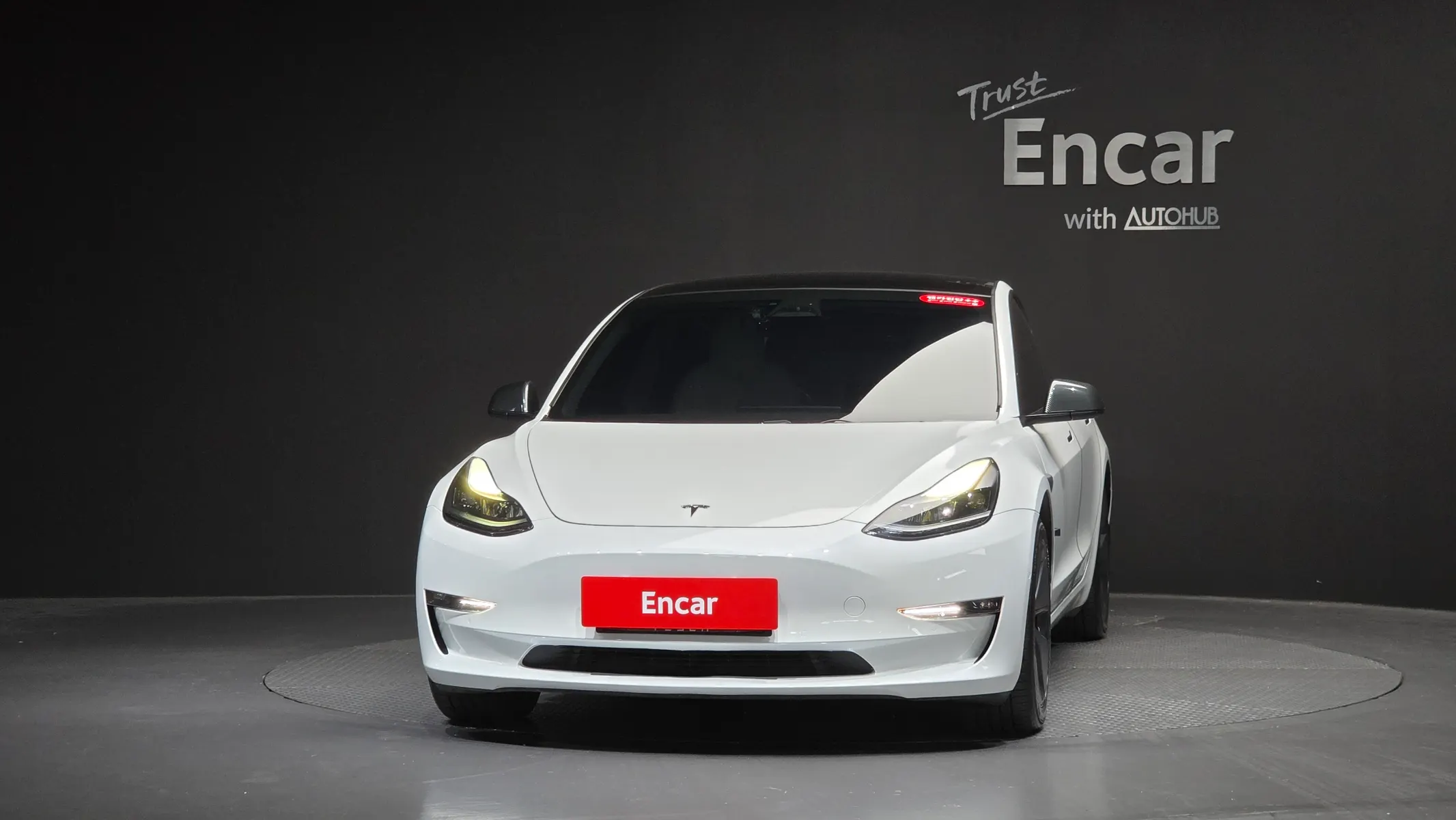 Tesla 3 AWD 2021 3/33