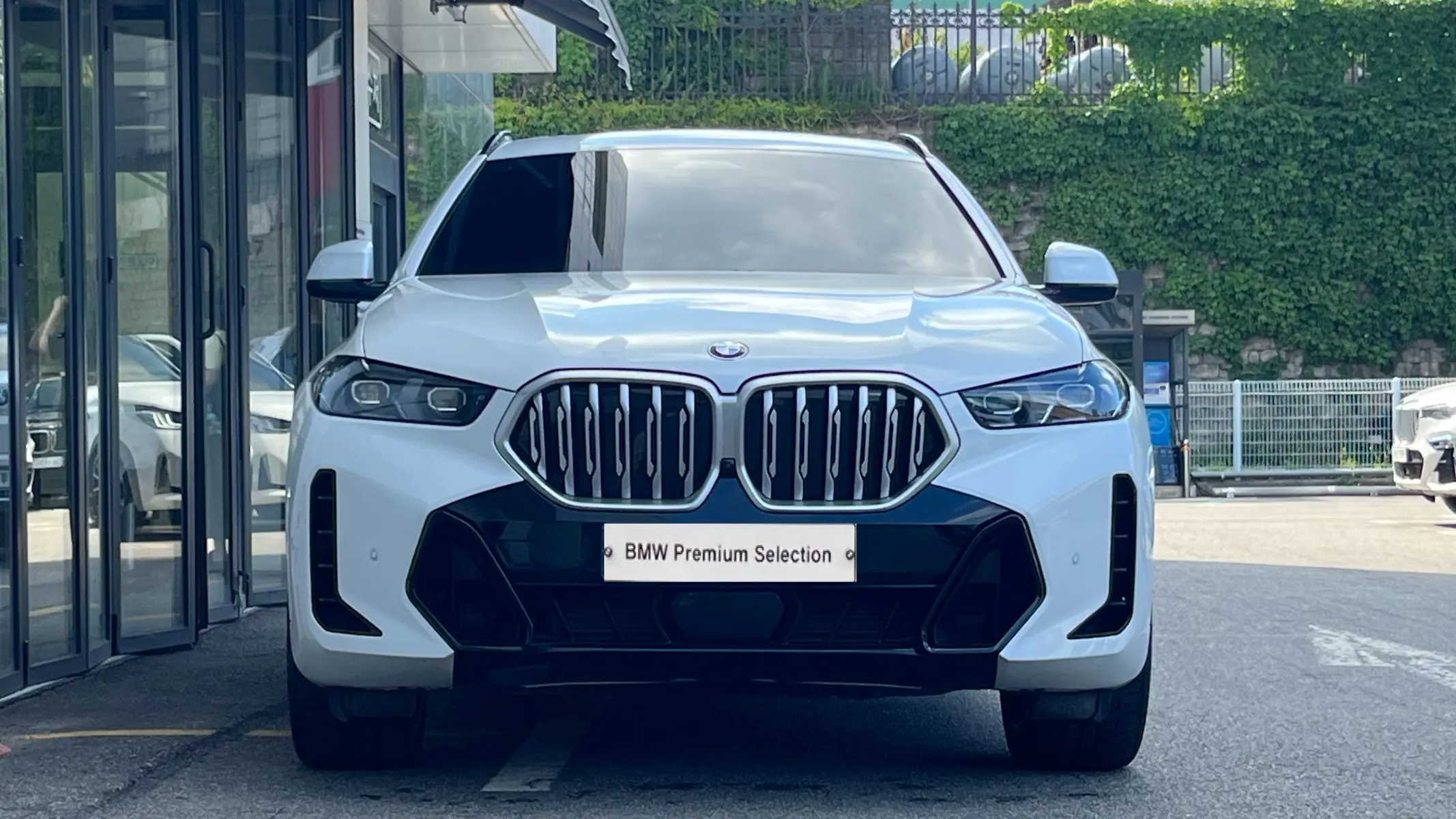 BMW X6 (G06) xDrive40i M 2024 20/21