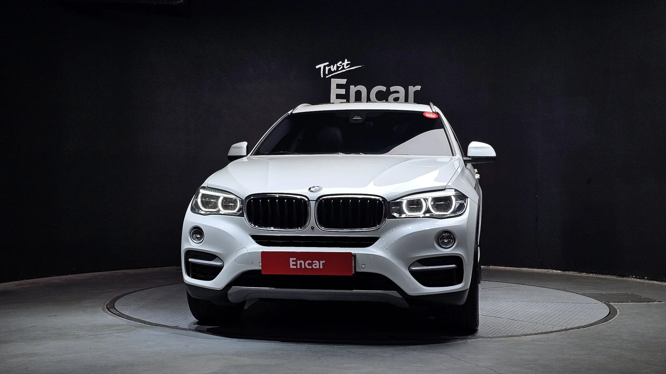 BMW X6 (F16) xDrive 30d 2018 3/31