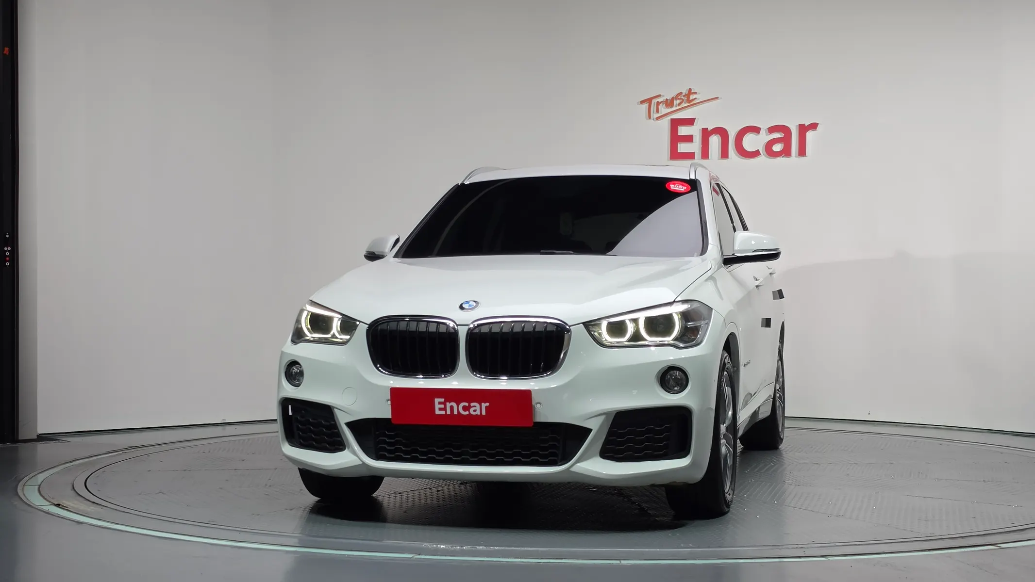 BMW X1 (F48) xDrive 20d M 2017 3/21