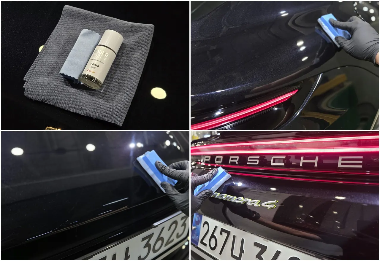 Porsche (976) 2.9 AWD E- 2025 2/21