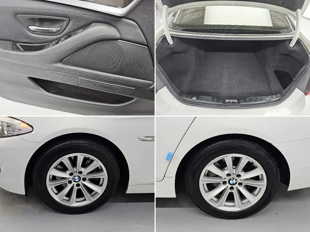 BMW 5 Series (F10) 520d 2013 20/21