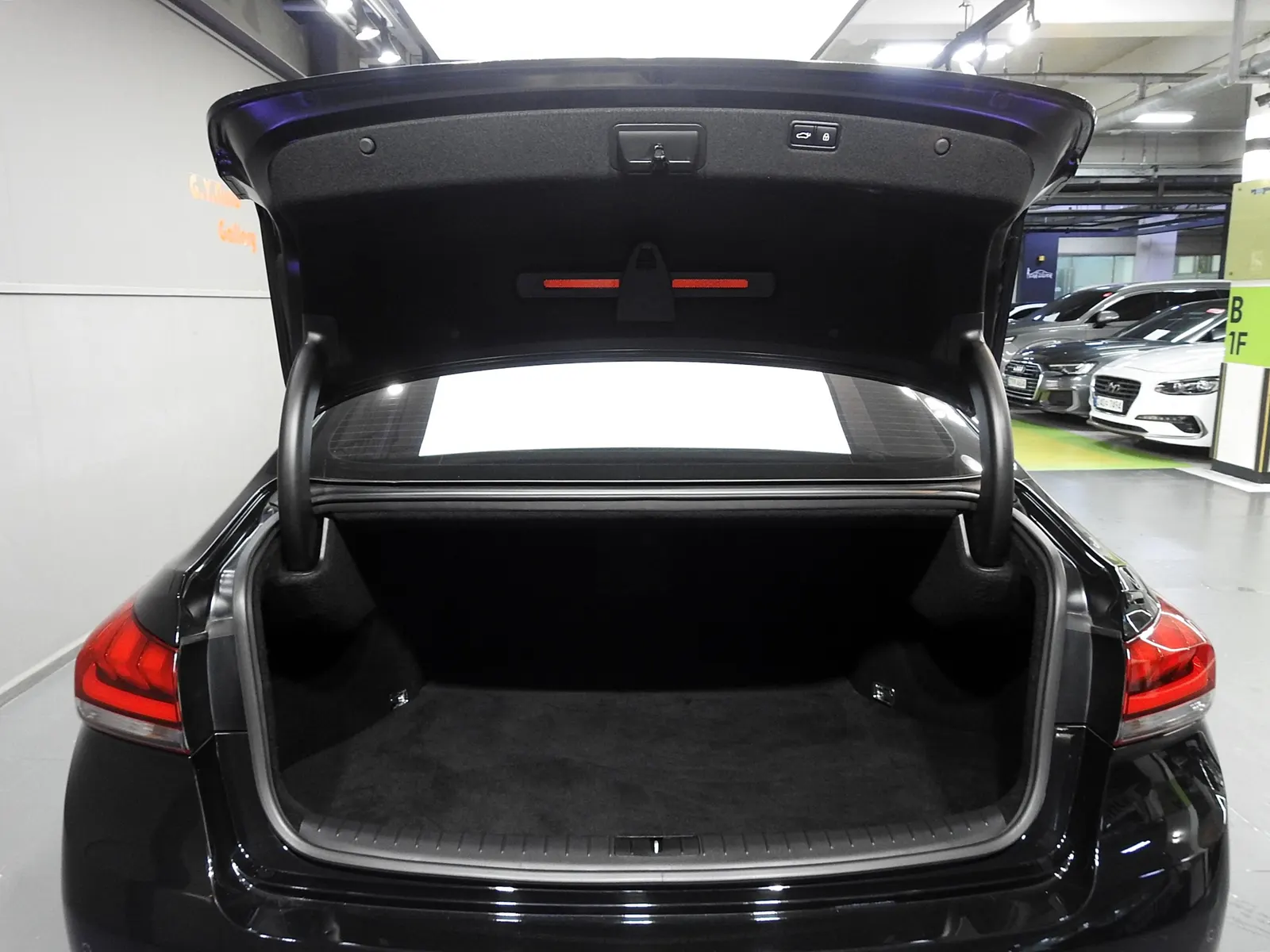 Genesis G80 3.3 GDI AWD 2016 20/21
