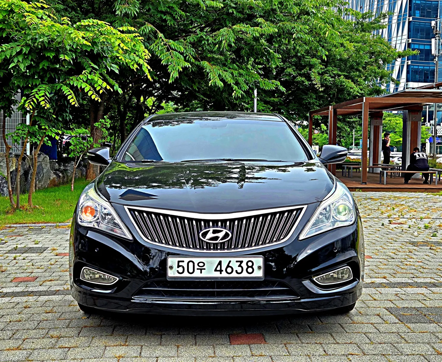 Hyundai Grandeur HG LPG HG300 2013 3/27