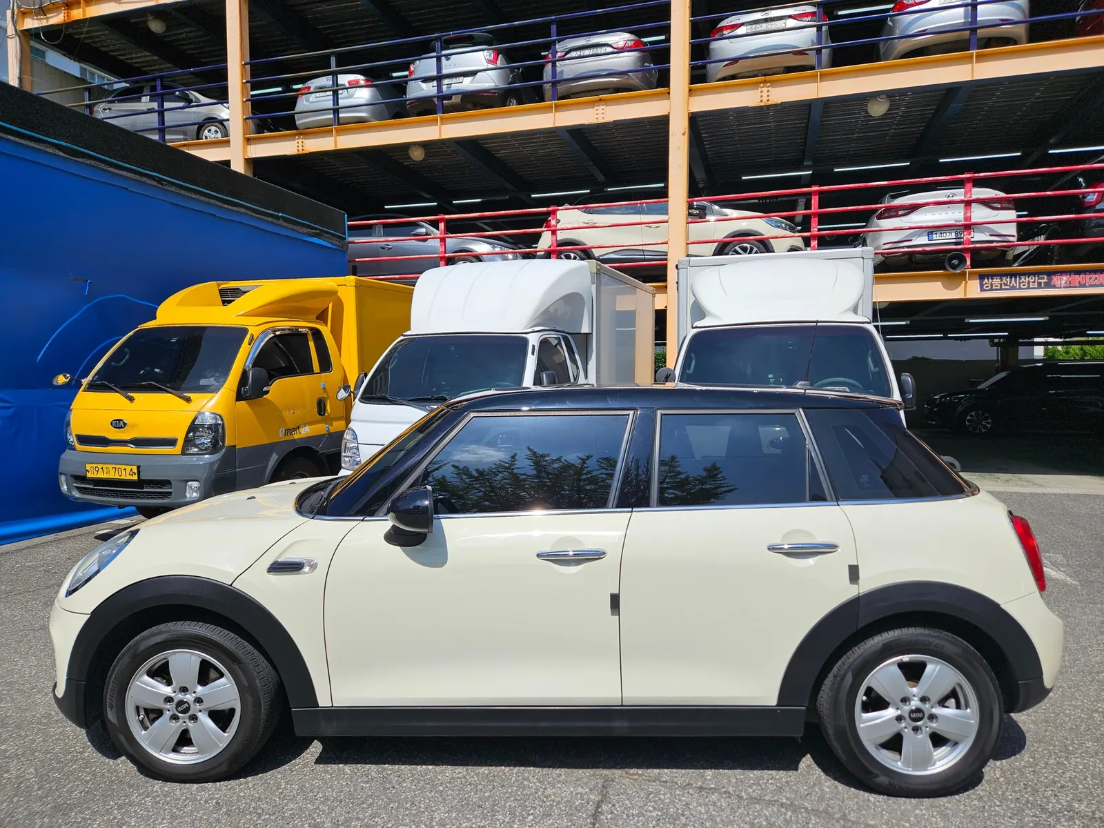 MINI D 5 2017 3/21