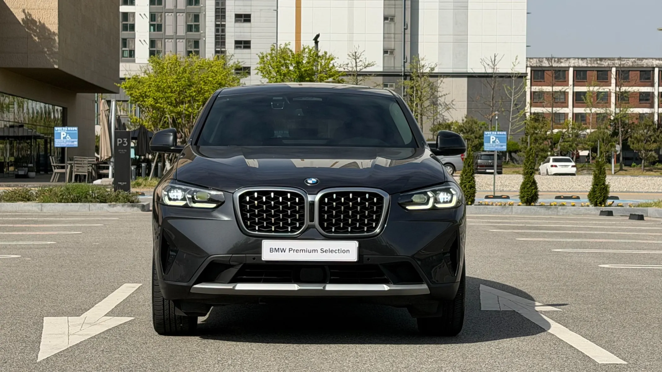 BMW X4 (G02) xDrive20i xLine 2022 3/21