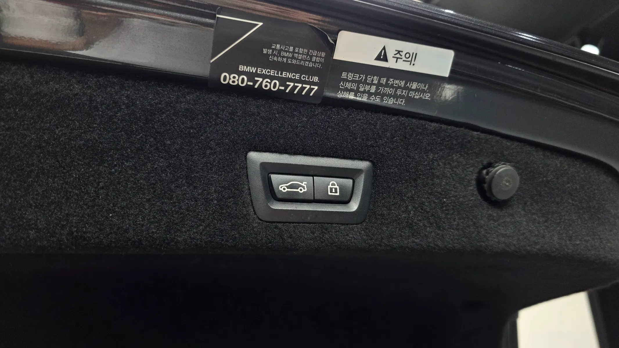 BMW 7 Series (G11) 730d xDrive 2020 20/21