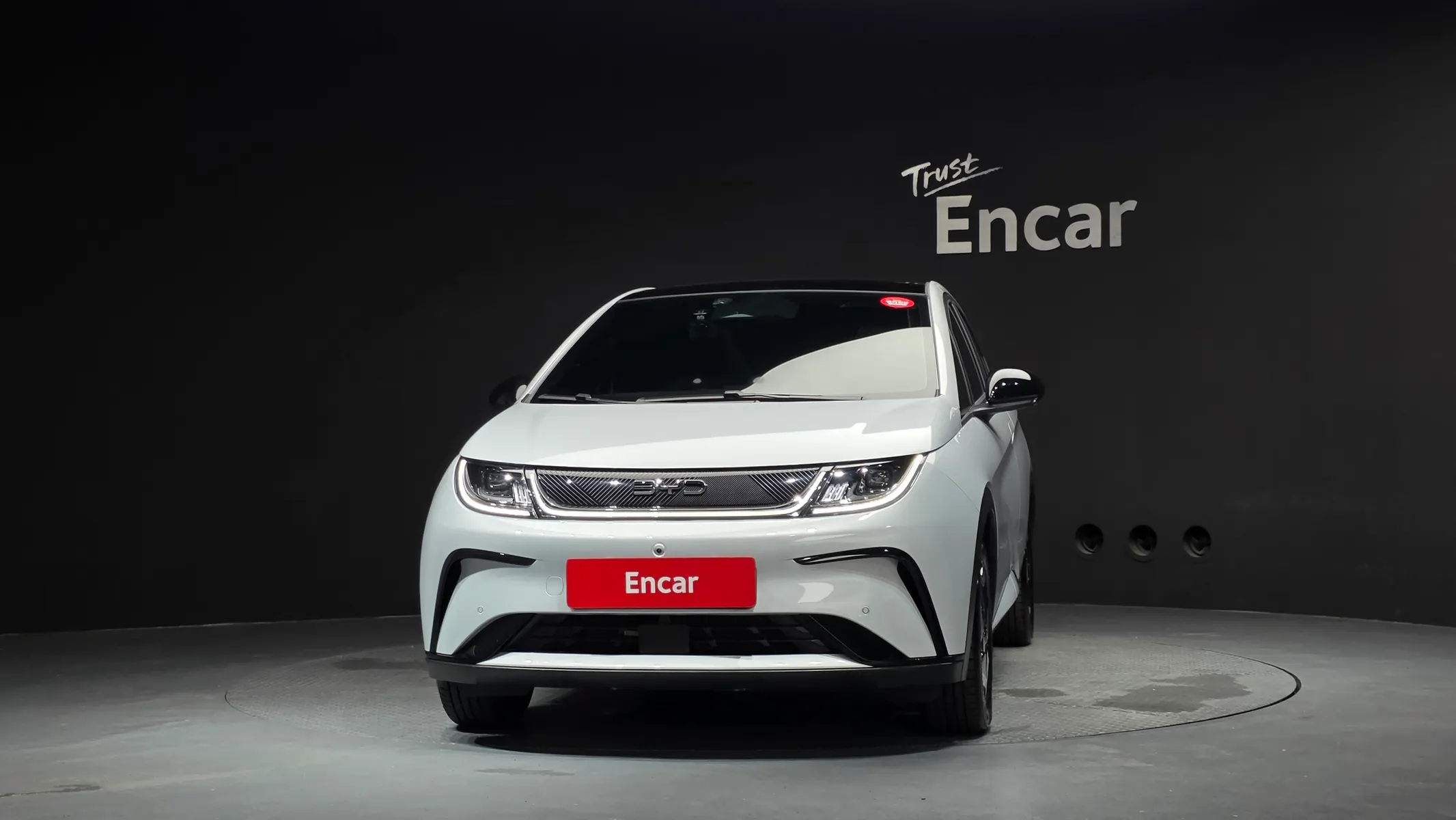 BYD 돌핀 2026 2/5