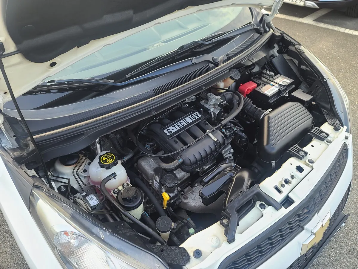 Chevrolet Spark LPG L 2014 20/21