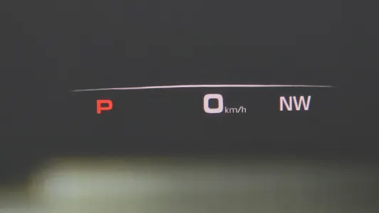 Porsche (971) 2.9 AWD 2021 17