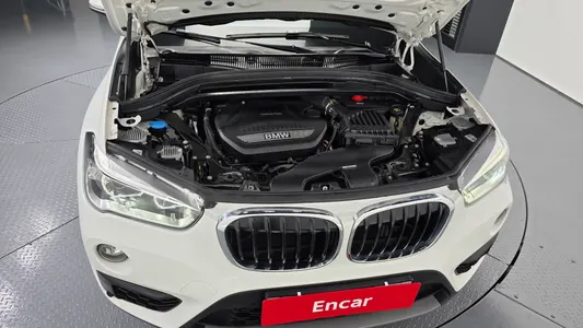 BMW X1 (F48) xDrive 18d 2018 6