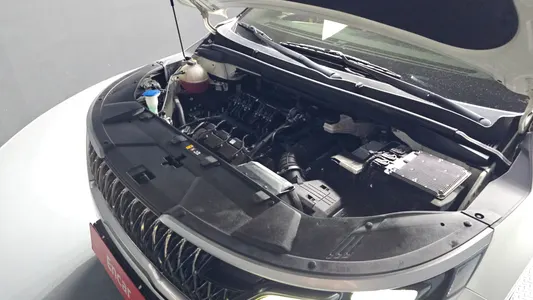 Kia Carnival (LPG) 2022 6