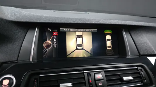 BMW 5 Series (F10) 520d xDrive M 2015 16