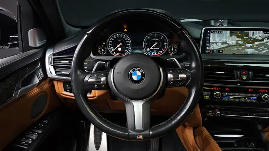 BMW X6 (F16) M50d 2017 13
