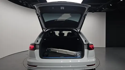 Audi Q8 (4M) 55 TFSI 2025 30