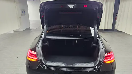 Mercedes-Benz CLS-Class C257 CLS300d 4MATIC 2022 17