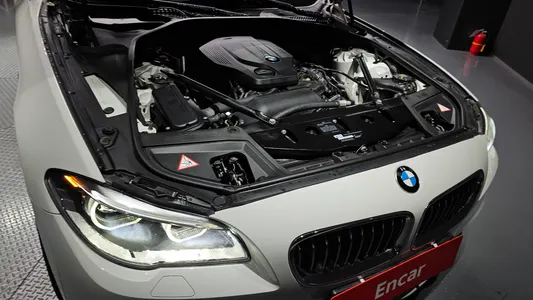 BMW 5 Series (F10) 520d M 2016 6