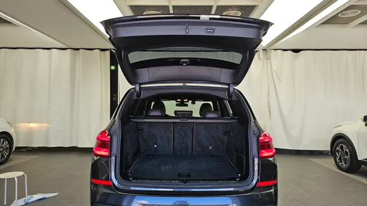 BMW X3 (G01) xDrive 30d M 2018 20