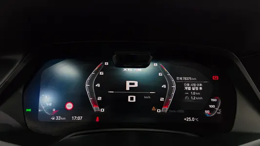 BMW X6M (G06) 4.4 2021 8