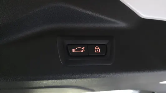 BMW X7 (G07) xDrive 40d 7 2022 32