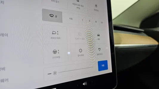 Tesla 3 AWD 2020 32