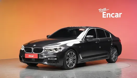 BMW 5 Series (G30) 530i xDrive M 2018 21