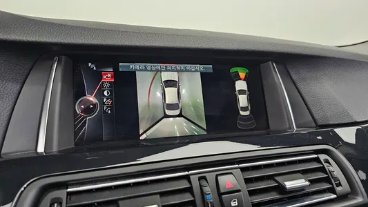 BMW 5 Series (F10) 520d M 2016 13