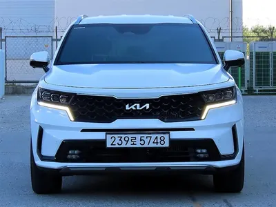 Kia 4 HEV 1.6 2WD 2023