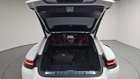 Porsche (971) 2.9 AWD E- 2020 20