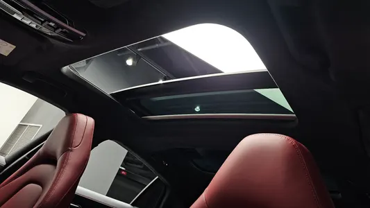 Porsche (971) 2.9 AWD E- 2020 17