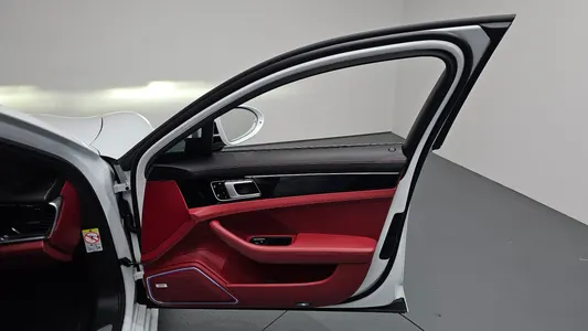 Porsche (971) 2.9 AWD E- 2020 24