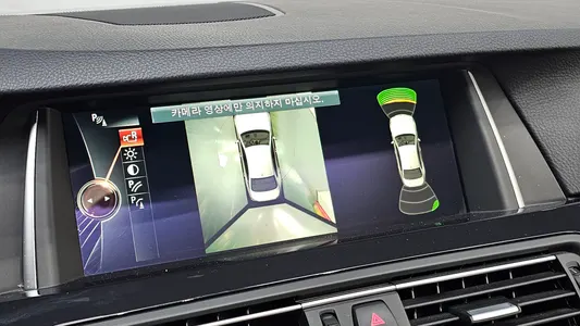 BMW 5 Series (F10) 520d M 2015 19