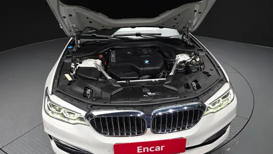 BMW 5 Series (G30) 530i 2020 5