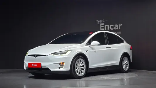 Tesla X 100D 2018
