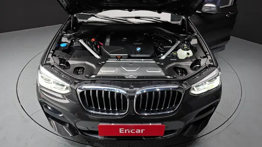 BMW X4 (G02) xDrive20i M X 2021 6
