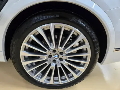 BMW X7 (G07) xDrive 30d 6 2020 6