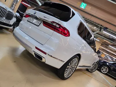 BMW X7 (G07) xDrive 30d 6 2020 16