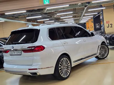 BMW X7 (G07) xDrive 30d 6 2020 17