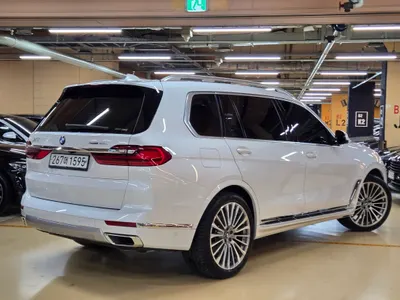 BMW X7 (G07) xDrive 30d 6 2020 18