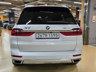 BMW X7 (G07) xDrive 30d 6 2020 19